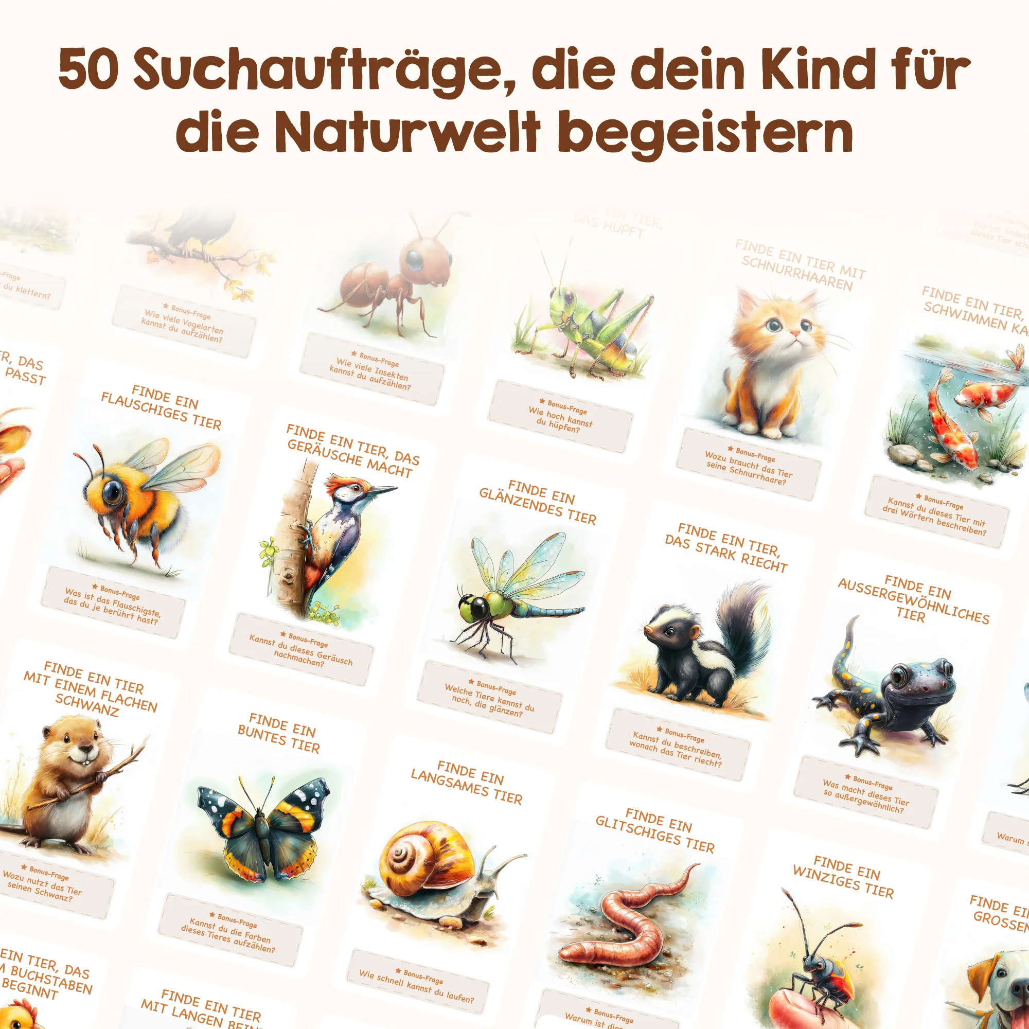 Edubini Gefunden!® Outdoor Suchspiel - Image 11