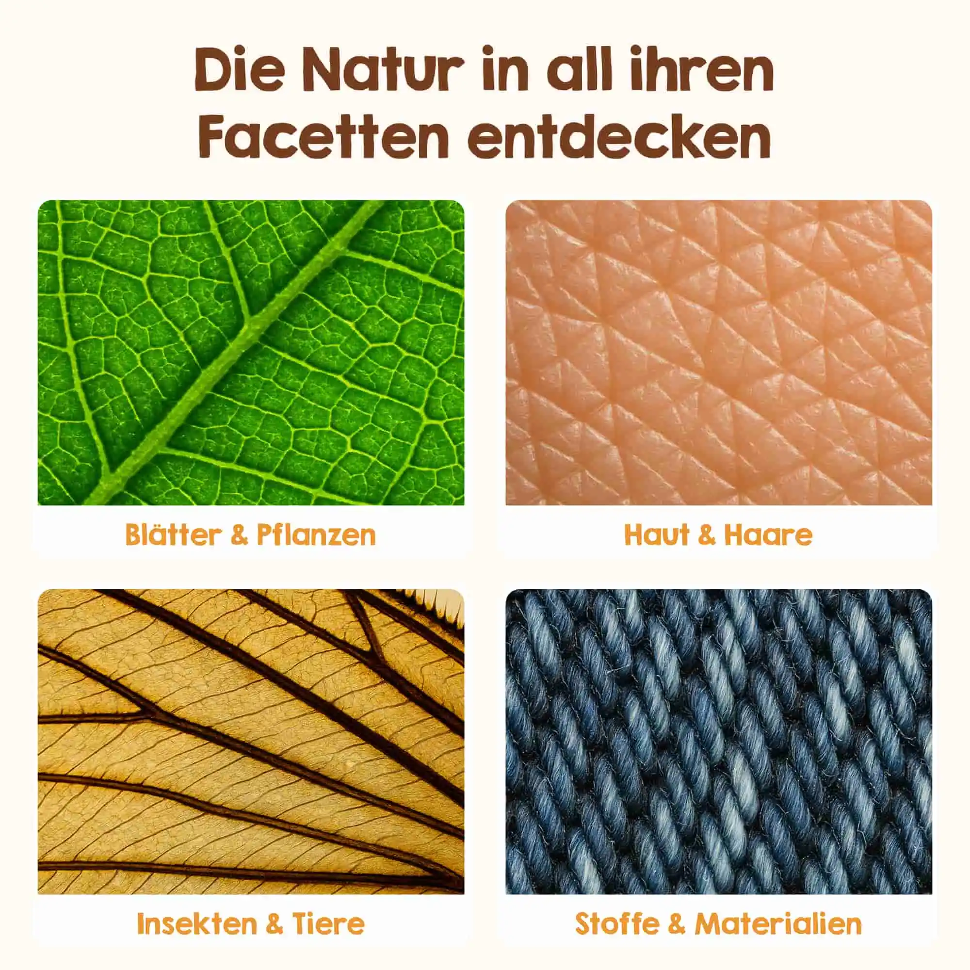 Edubini Abenteuer-Mikroskop (Geschenk-Starterbundle) - Image 3