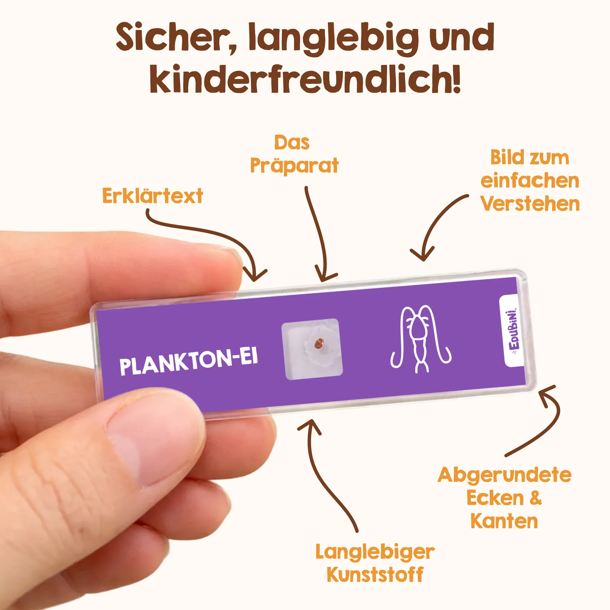 Objektträger für Mikroskop - Image 5