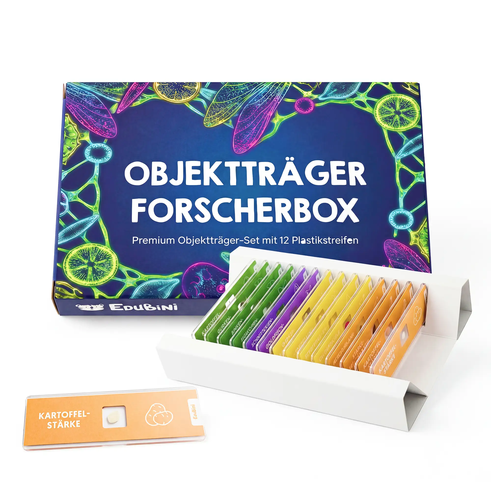 Objektträger für Mikroskop - Image 7
